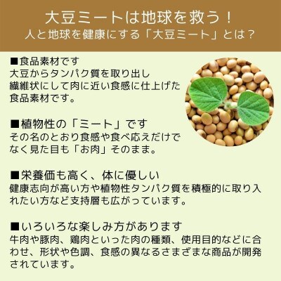大豆ミート 和風ベジハンバーグ 80g×15個(3個入り×5パック)G658