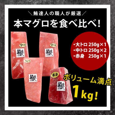 本マグロ食べ比べセット 1kg (250g×4パック)大トロ 中トロ 赤身 ST162
