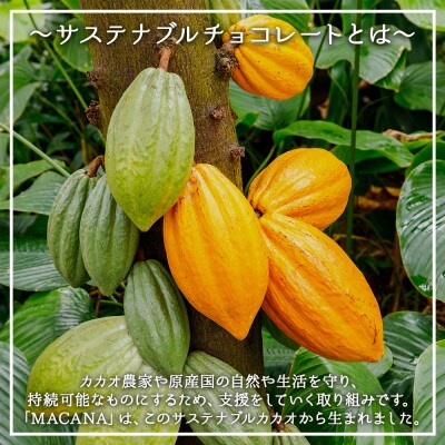上質なカカオ豆使用!濃厚ピュアチョコレート3種食べ比べギフトセット(150g×3袋) 005A512