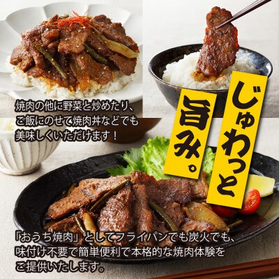 秘伝の極旨タレ 焼肉セット 野菜入り 250g×20袋 G649