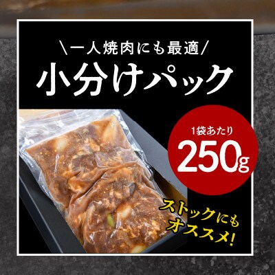 秘伝の極旨タレ 焼肉セット 野菜入り 250g×20袋 G649