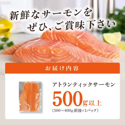 アトランティックサーモン 500g以上 低温スモーク加工 G684