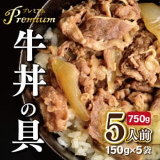 牛丼の具 小分け 150g&times;5袋 レンジで簡単調理 G650