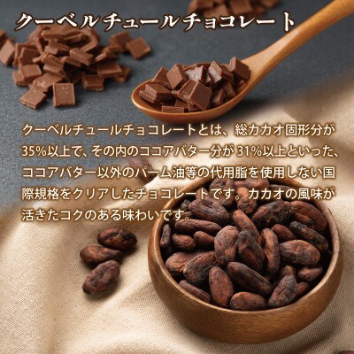 クーベルチュール ビタースイートフレーク 500g　G783