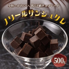 低GI値 シュガーレスチョコレート(ノワールサンシュクレ)500g G793