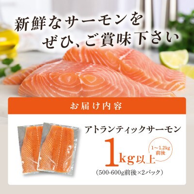 アトランティックサーモン 総量 1kg以上 G823