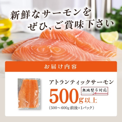 【無地熨斗】アトランティックサーモン 500g以上 G821