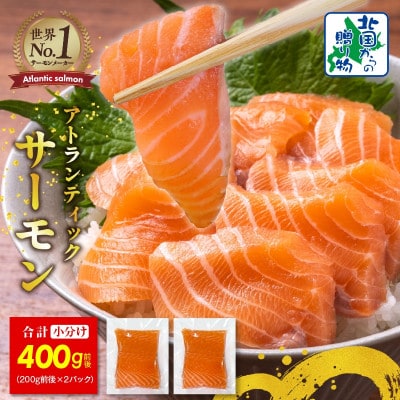 アトランティック サーモン 400g 小分け 200g×2パック 010B1647