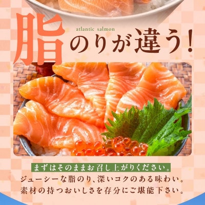 アトランティック サーモン 400g 小分け 200g×2パック 010B1647