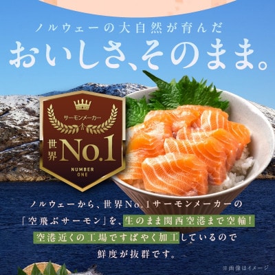 アトランティック サーモン 400g 小分け 200g×2パック 010B1647