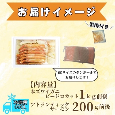 本ズワイ蟹ビードロ1kg 蟹酢付 昆布塩加工 & アトランティックサーモン200g 020C400