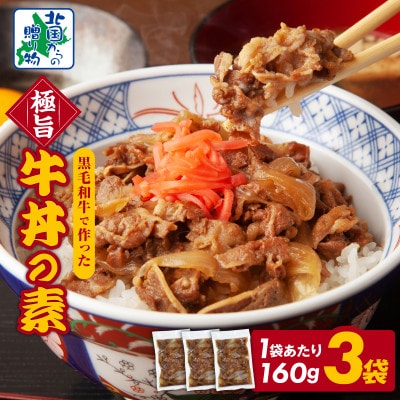 美味しくなってリニューアル!【黒毛和牛】で作った極旨牛丼の素(160g×3袋)099H3431