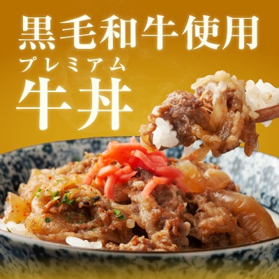 美味しくなってリニューアル!【黒毛和牛】で作った極旨牛丼の素(160g×5袋) 099H3432