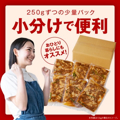 味付けジンギスカン 500g(250g×2P/2人前)小分け ラム焼肉 010B1632