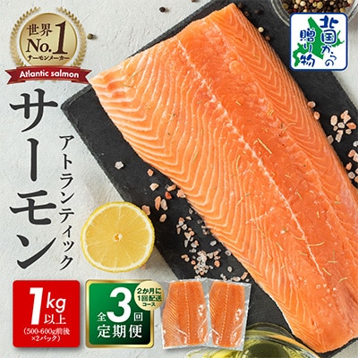 【2ヵ月毎定期便】北国からの贈り物 サーモン定期便 総量3kg以上 全3回 G889