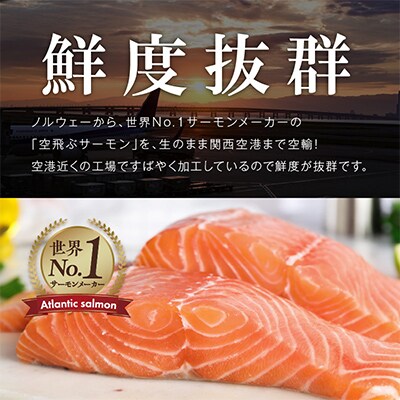 【2ヵ月毎定期便】北国からの贈り物 サーモン定期便 総量3kg以上 全3回 G889