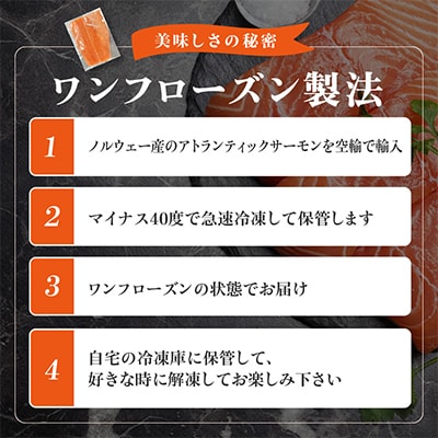 【2ヵ月毎定期便】北国からの贈り物 サーモン定期便 総量3kg以上 全3回 G889