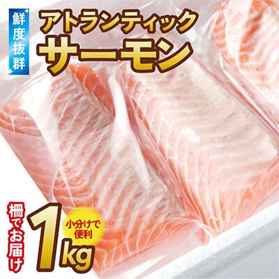 アトランティックサーモン 1kg ポーション 柵 小分け 099H1507