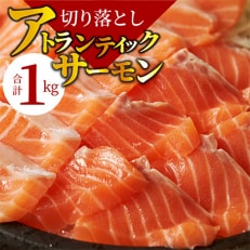 アトランティックサーモン 切り落とし 1kg(500g&times;2パック)099H2083