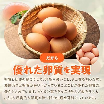 【毎月定期便】戸野さん家のこだわりタマゴ とのたま Mサイズ 60個×全3回 099Z164