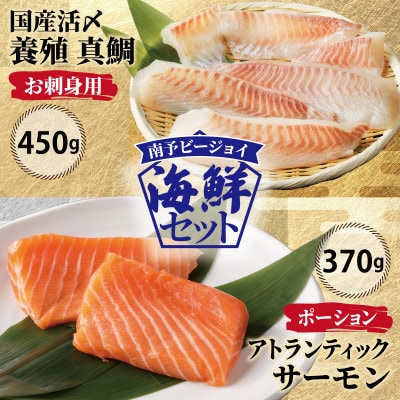 サーモン・国産活〆 真鯛  お刺身セット G1715