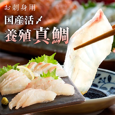 サーモン・国産活〆 真鯛 お刺身セット nbj0004