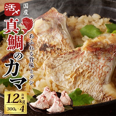 国産 活〆養殖 真鯛のカマ 1.2kg 小分け 300g×4P G1711