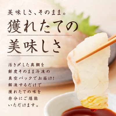 【さとふる限定】国産活〆 真鯛 お刺身用 600g 養殖 便利な小分け 010B1537