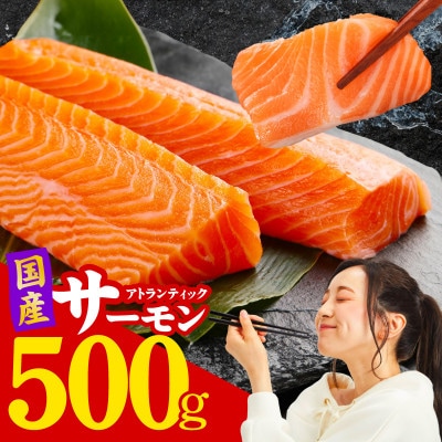 国産アトランティックサーモン 500g ポーション 小分け 真空パック nbj0010