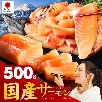 国産アトランティックサーモン 500g ポーション 小分け 真空パック nbj0010