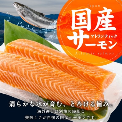 国産アトランティックサーモン 500g ポーション 小分け 真空パック nbj0010