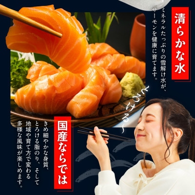 国産アトランティックサーモン 500g ポーション 小分け 真空パック nbj0010