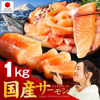国産アトランティックサーモン 1kg ポーション 小分け 真空パック 訳あり nbj0011