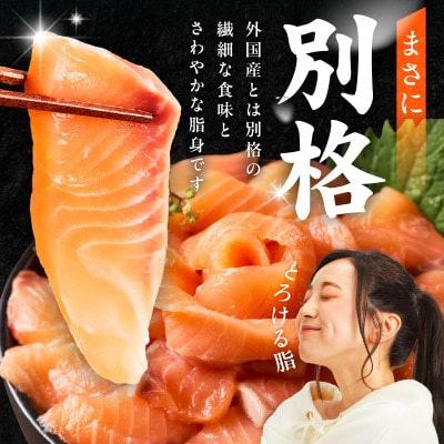 国産アトランティックサーモン 1kg ポーション 小分け 真空パック 訳あり nbj0011