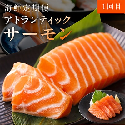 【毎月定期便】【さとふる限定】人気海鮮 サーモン/真鯛 お刺身 食べ比べ 全2回 099Z272