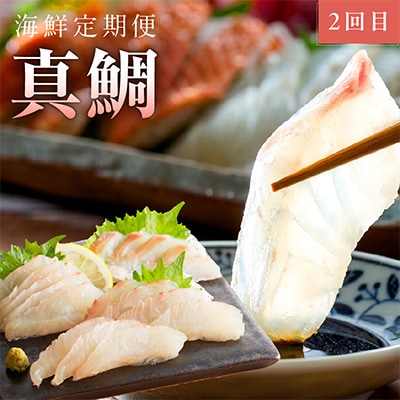【毎月定期便】【さとふる限定】人気海鮮 サーモン/真鯛 お刺身 食べ比べ 全2回 099Z272