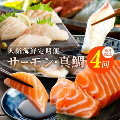 【毎月定期便】人気海鮮 サーモン/真鯛 お刺身用 食べ比べ 全4回 099Z273