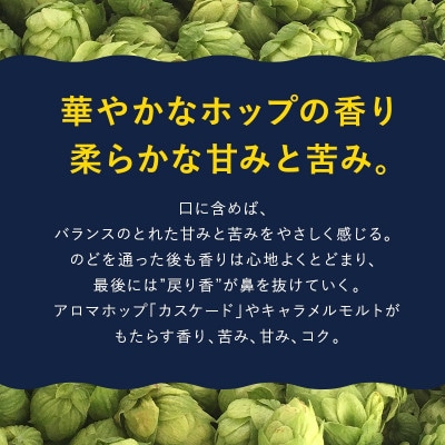 ビール 12本セット よなよなエール 缶 クラフトビール 泉佐野市オリジナル 工場 G1654