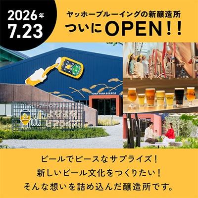 【2ヵ月毎定期便】よなよなエール 48本 クラフトビール 全3回