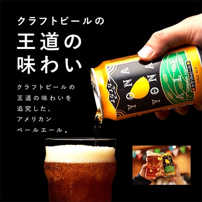 【2ヵ月毎定期便】よなよなエール 48本 クラフトビール 全6回 G1683