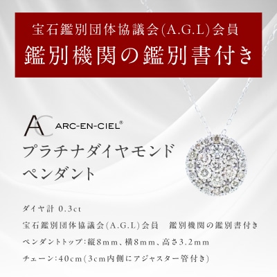ARC-EN-CIEL　プラチナダイヤ0.30ctペンダント　【鑑別書付き】 J028-4