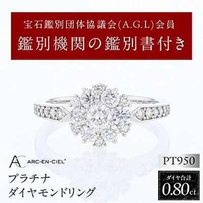 ARC-EN-CIEL PTダイヤリング 計0.8ct【鑑別書付き】サイズ『10号』