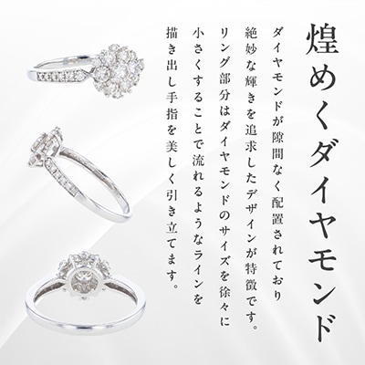 ARC-EN-CIEL PTダイヤリング 計0.8ct【鑑別書付き】サイズ『9号』