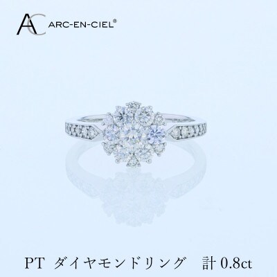 ARC-EN-CIEL PTダイヤリング 計0.8ct【鑑別書付き】サイズ『14号』 J062