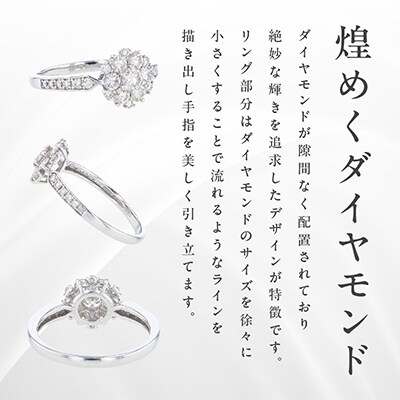 ARC-EN-CIEL PTダイヤリング 計0.8ct【鑑別書付き】サイズ『15号』