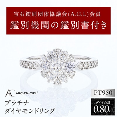 ARC-EN-CIEL PTダイヤリング 計0.8ct【鑑別書付き】サイズ『16号』