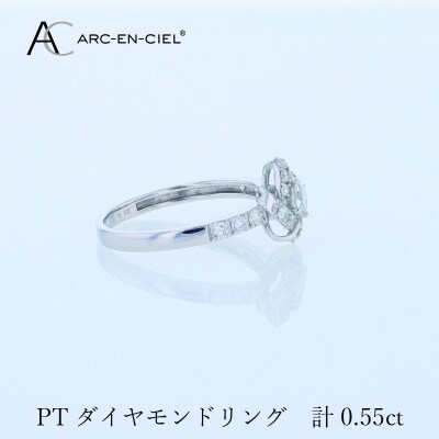 ARC-EN-CIEL PTダイヤリング 計0.55ct【鑑別書付き】サイズ『14号』 J057