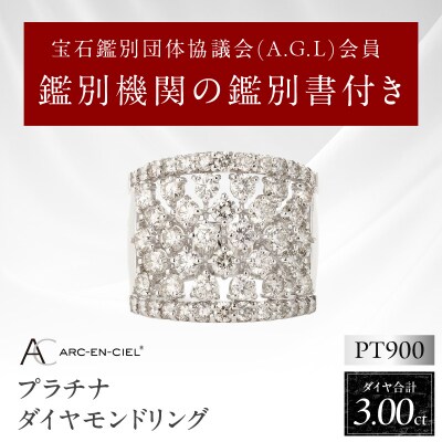 ARC-EN-CIEL PTダイヤリング(計 3.0ct)【鑑別書付き】サイズ11号 J007-4