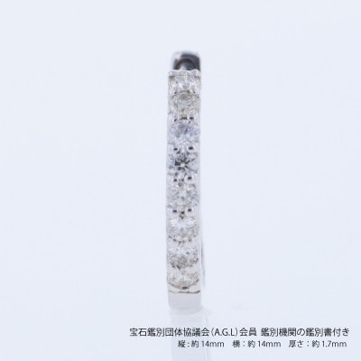 ARC-EN-CIEL PTダイヤピアス(計 0.20ct)【鑑別書付き】 J088