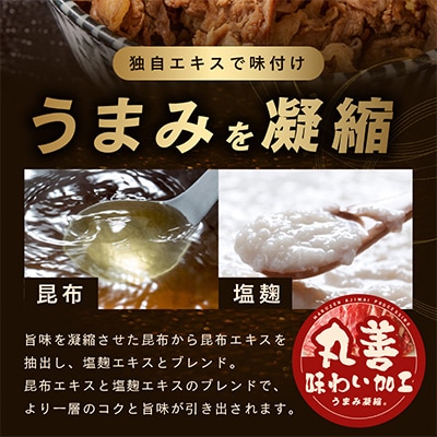 国産 牛肉 切り落とし 900g(300g×3)【氷温熟成×極味付け】SR0007